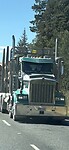 IMG_7358
