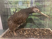 IMG_7447