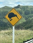 IMG_7431