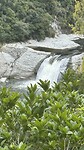 IMG_7425