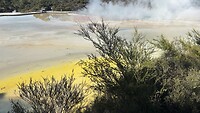 IMG_7554