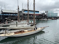 IMG_7846
