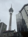 IMG_7843