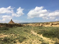 IMG_2096