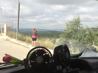 olijfbomen op de foto zetten