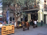 Taverna Olivo