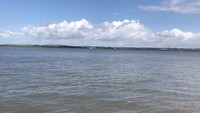 Sur la pont de Normandy avec le fiets
