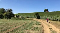 2021-08-29 Wandeling Vergne - Novello v v