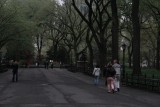 Central Park