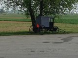 Amish buggy