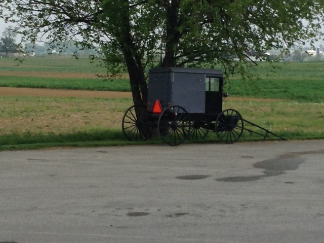 Amish buggy