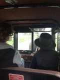 Amish buggy
