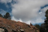 Lonesome cowboy