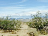 Onderweg naar Death Valley