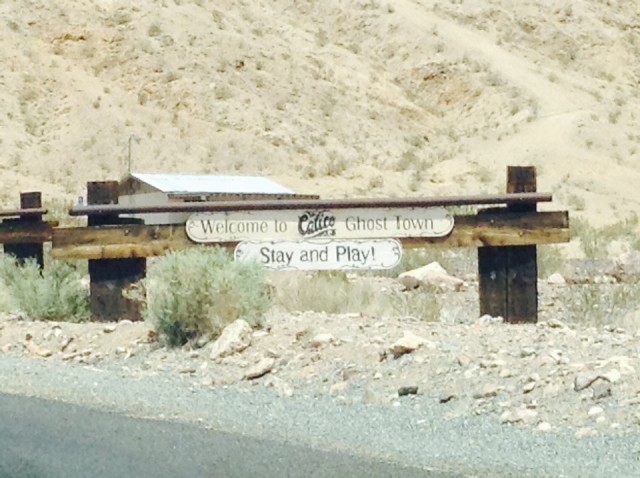 Calico on the road