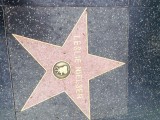 Leslie Nielsen