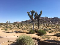 IMG_6288