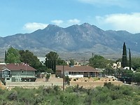 IMG_6316