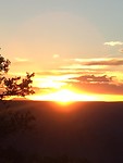 IMG_6392
