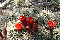 P1100043