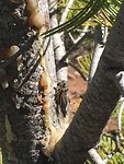 IMG_6411