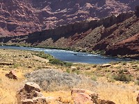 IMG_6514