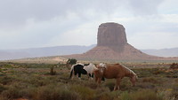 P1100337
