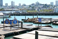 P1100779