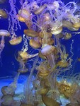 IMG_7429