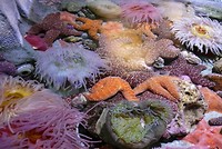 P1100905