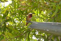 P1100870