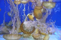 P1100901