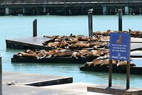 P1100771