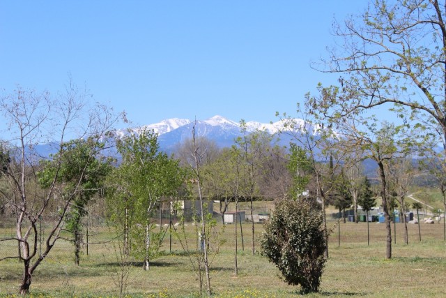 Camping de la Vallée, Pyrenëen