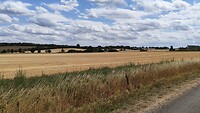 Het landschap onderweg naar Cambridge
