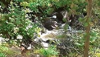 Waterval