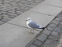 20230803_090551