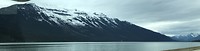 Tussen Jasper en Mount Robson Lake Moose