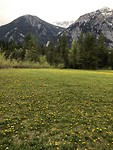 Mount Robson