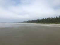 Strand camping Greenpoint