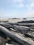 Strand camping Greenpoint