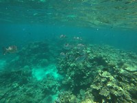 Onder water