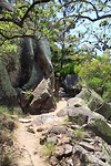 Wandelend over Magnetic Island