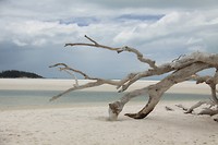 Whitsunday Islands NP