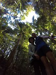 In het regenwoud op Fraser Island