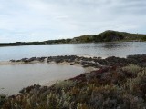 meertje op het eiland
