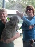 Riekie met een koala