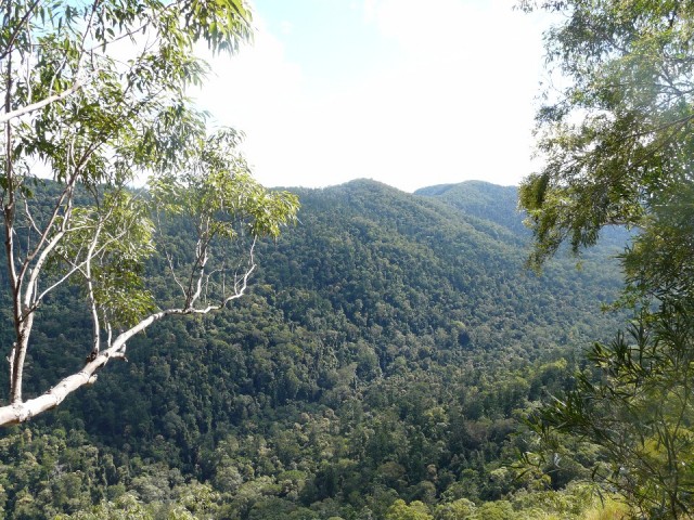 Bomen