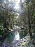 The pool