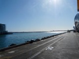 De haven